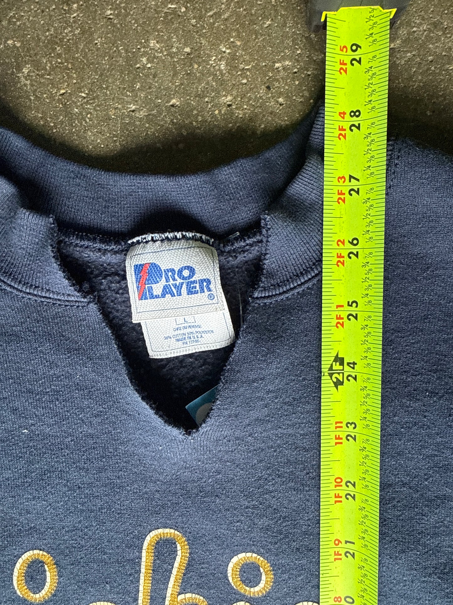 Vintage Michigan Crewneck